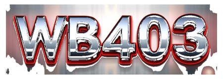 wb403 slot logo